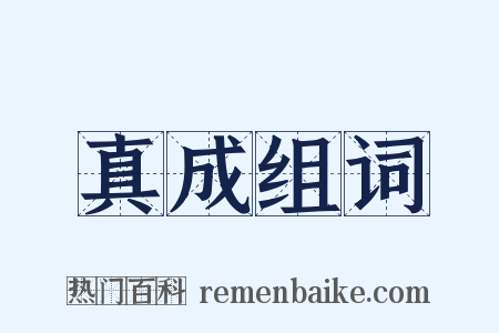 真成组词是什么意思的图片